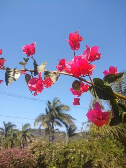 Chale Aconchegante Em Estancia Climatica Santo Antonio do Leite Luaran gambar