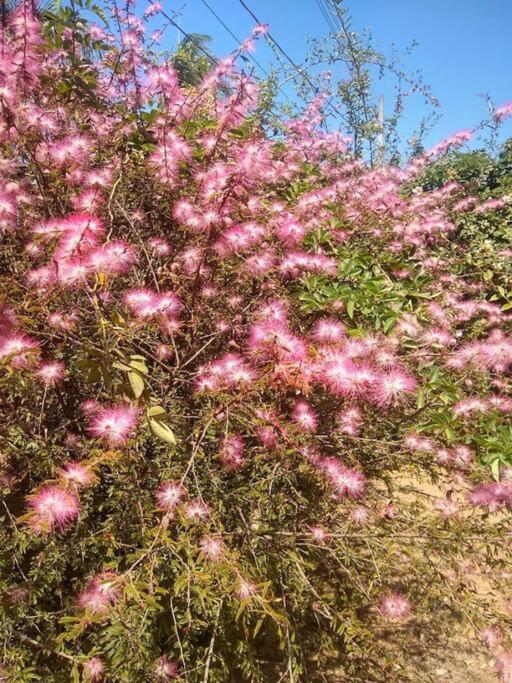 Chale Aconchegante Em Estancia Climatica Santo Antonio do Leite Luaran gambar