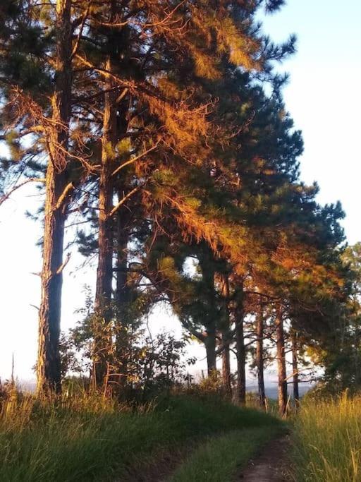 Chale Aconchegante Em Estancia Climatica Santo Antonio do Leite Luaran gambar