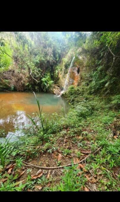 Chale Aconchegante Em Estancia Climatica Santo Antonio do Leite Luaran gambar